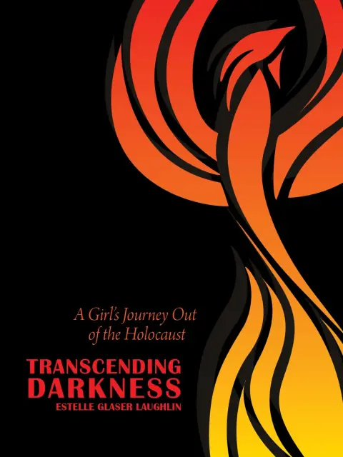 Cover of Transcending Darkness
