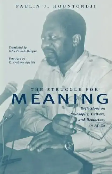 Cover of The Struggle for Meaning