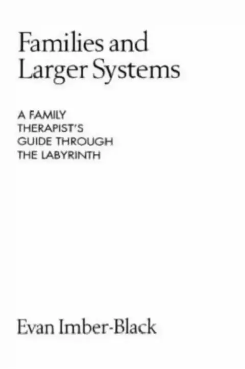 Cover of Families and Larger Systems