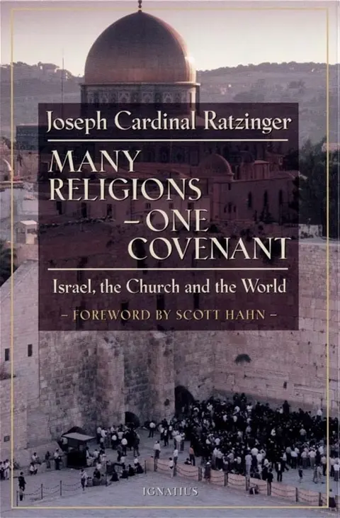 Cover of Many Religions - One Covenant