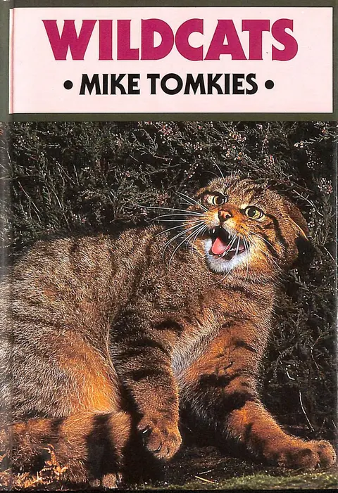 Cover of Wildcats