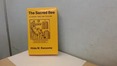 Cover of The Sacred Bee