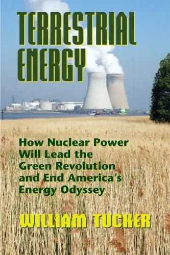 Cover of Terrestrial Energy