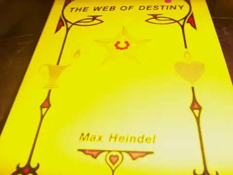 Cover of Web of Destiny