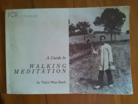 Cover of Guide to Walking Meditation