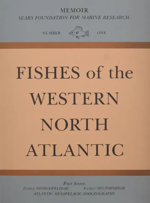 Cover of Order Iniomi – Myctophiformes