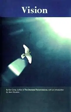 Cover of Vision