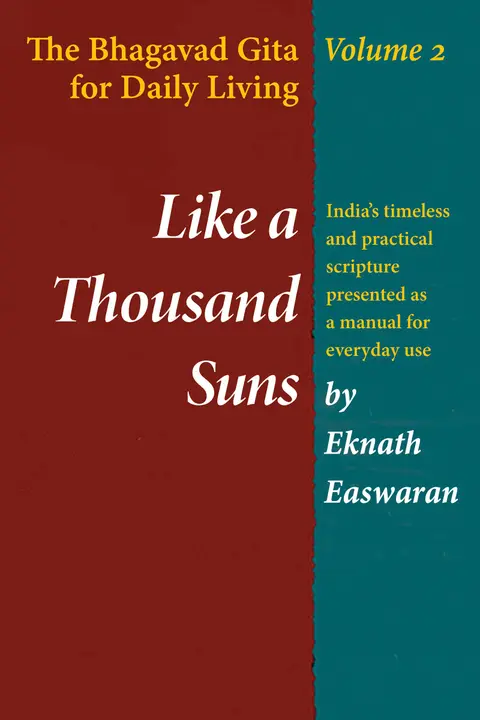 Cover of Like a Thousand Suns