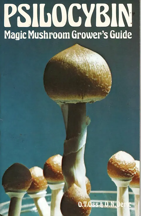 Cover of Psilocybin
