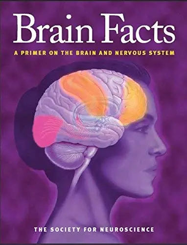 Cover of Brain Facts