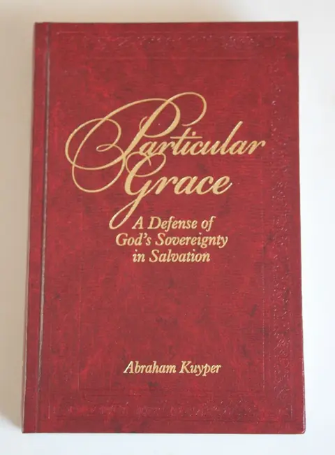 Cover of Particular Grace