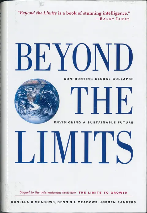 Cover of Beyond the Limits