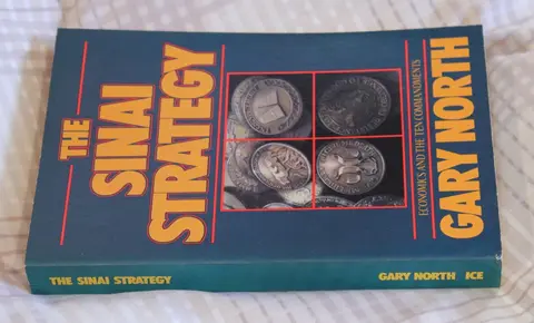 Cover of Sinai Strategy