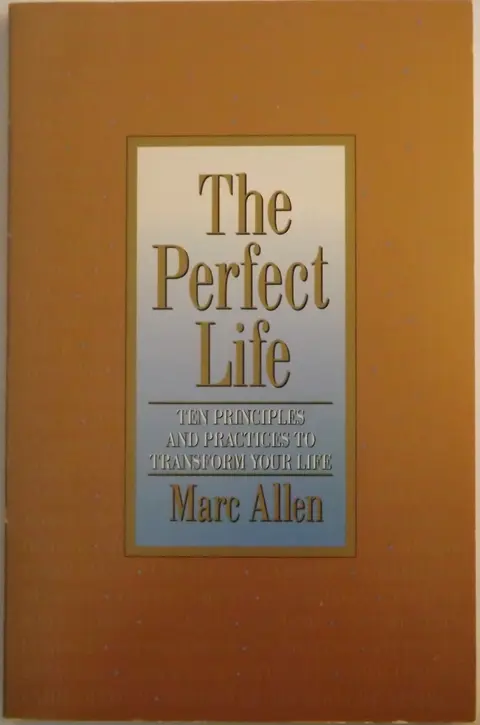 Cover of The Perfect Life