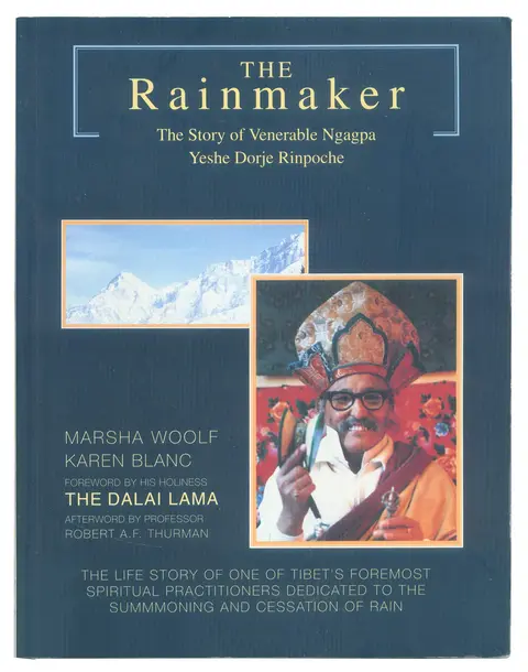 Cover of The Rainmaker