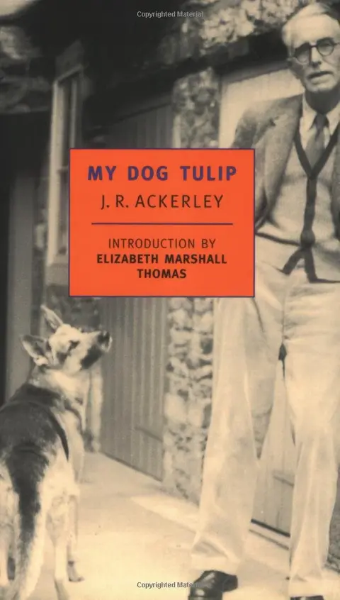 Cover of My Dog Tulip