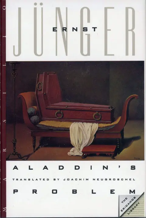 Cover of Aladdin's Problem