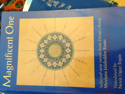 Cover of Magnificent One