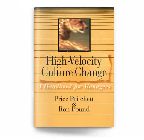 Cover of High Velocity Culture Change