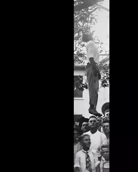 Cover of Without Sanctuary