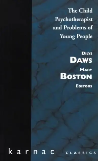 Cover of Child Psychotherapist and Problems of Young People