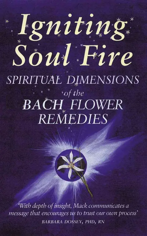 Cover of Igniting Soul Fire