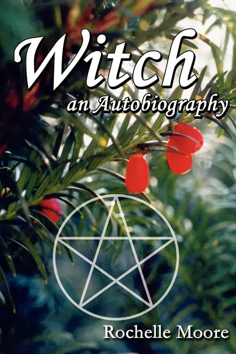 Cover of Witch