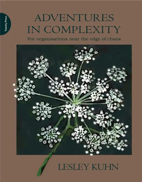 Cover of Adventures in Complexity