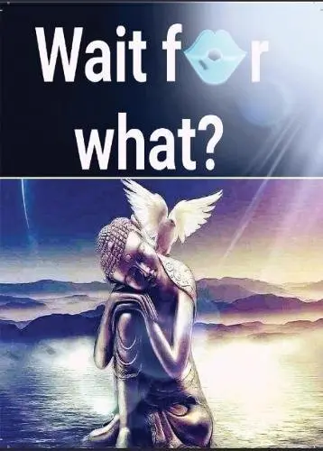 Cover of Wait for What