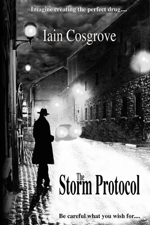 Cover of The Storm Protocol