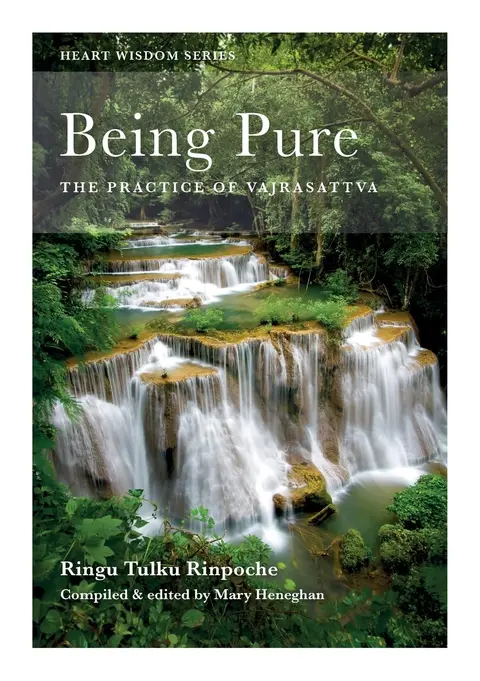 Cover of Being Pure