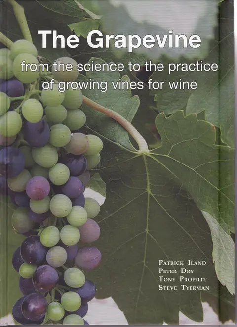 Cover of The Grapevine