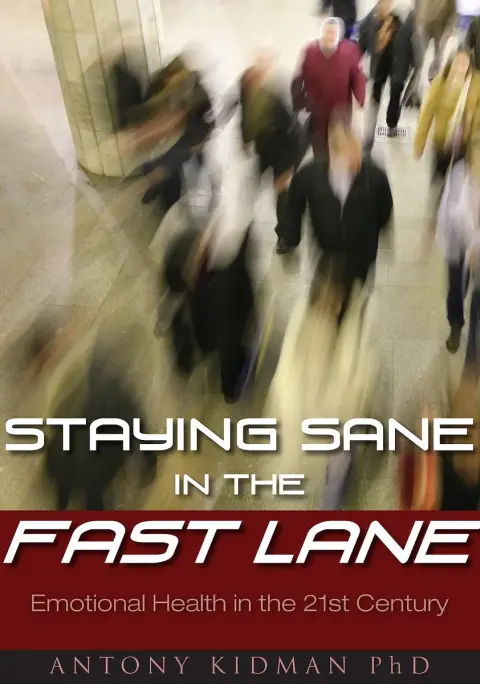 Cover of Staying Sane in the Fast Lane