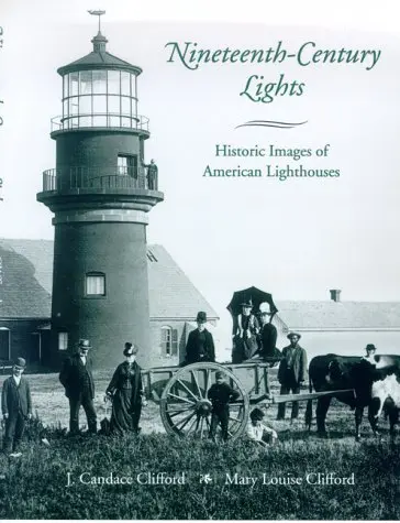 Cover of Nineteenth-Century Lights