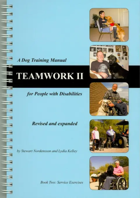 Cover of Teamwork II
