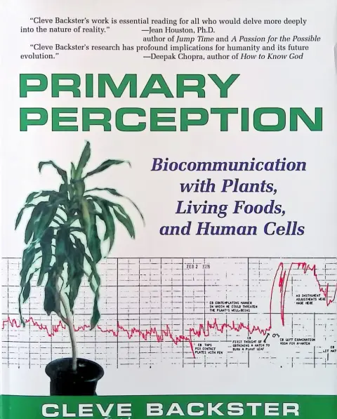 Cover of Primary Perception