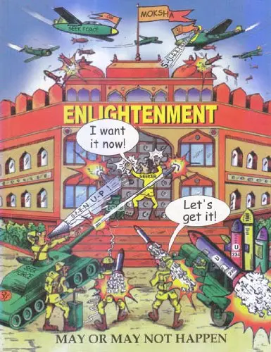 Cover of Enlightenment May or May Not Happen
