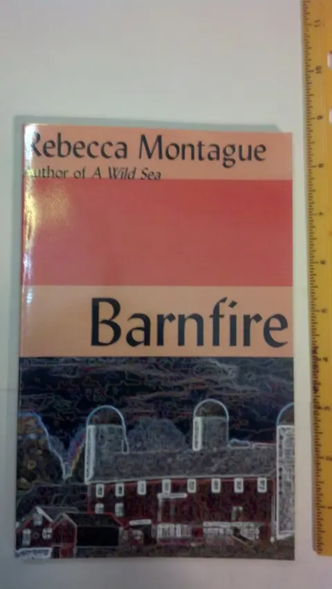 Cover of Barnfire