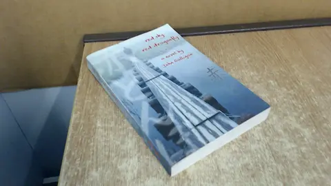Cover of Red Sky, Red Dragonfly