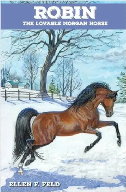Cover of Robin