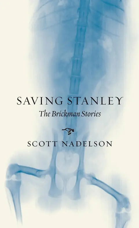 Cover of Saving Stanley