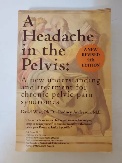 Cover of A Headache in the Pelvis