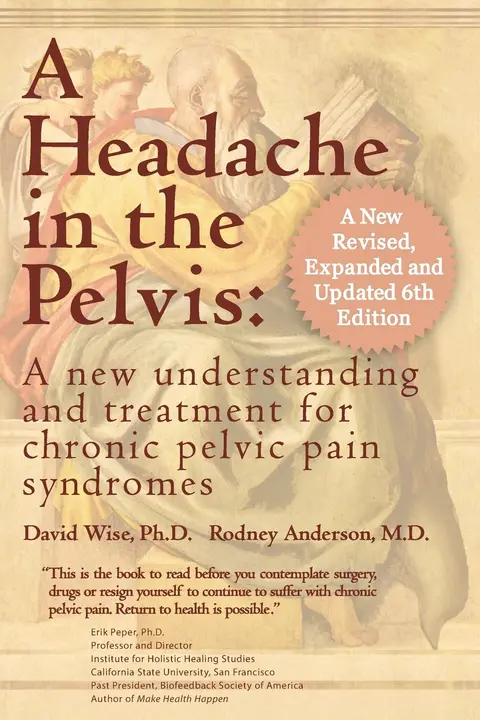 Cover of A Headache in the Pelvis