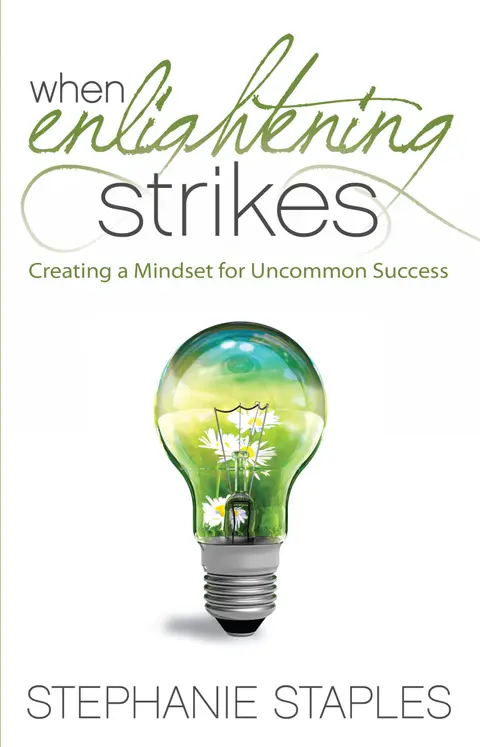 Cover of When Enlightening Strikes