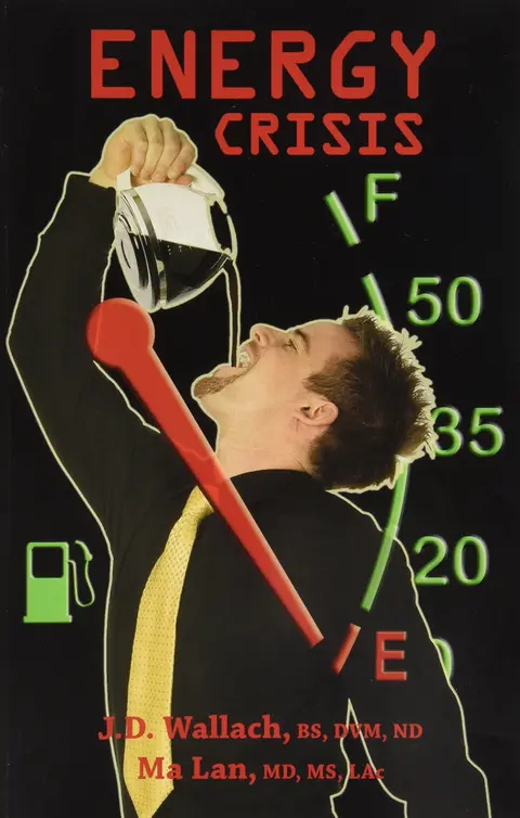 Cover of Energy Crisis