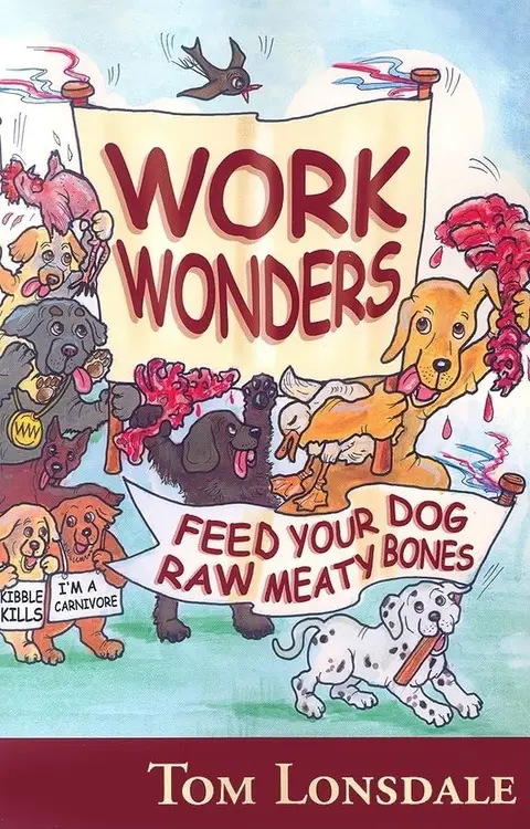 Cover of Work Wonders