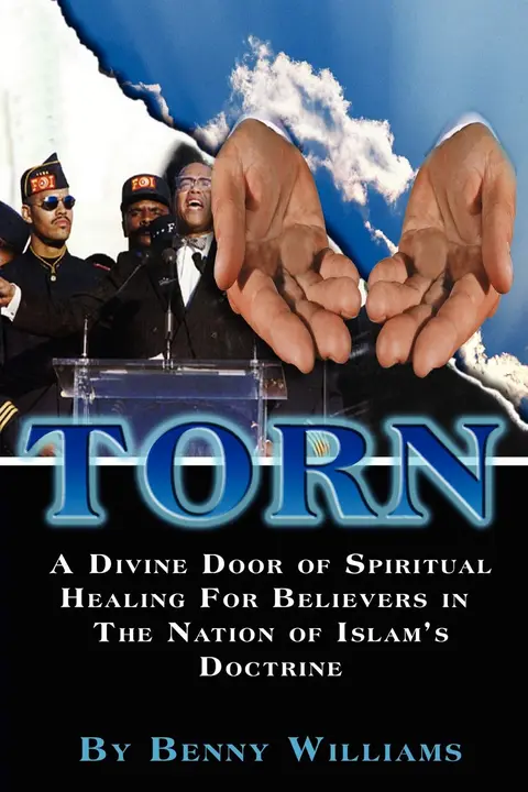 Cover of Torn