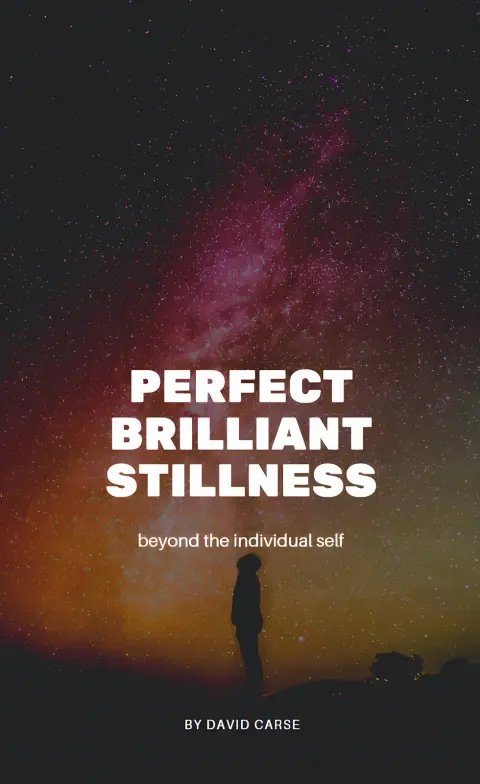 Cover of Perfect Brilliant Stillness