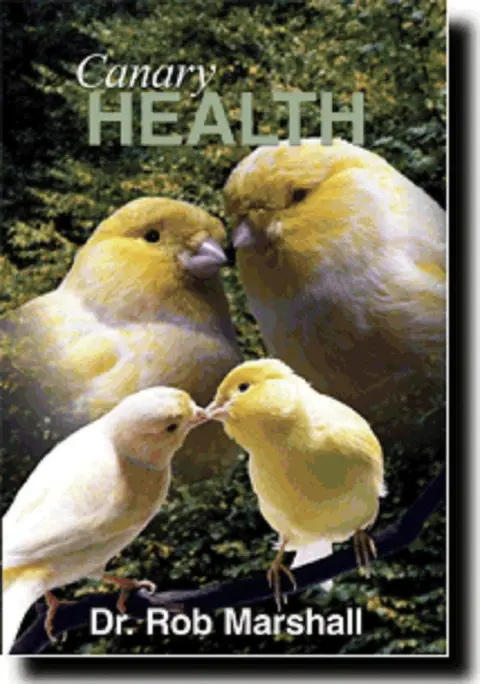 Cover of Canary Health