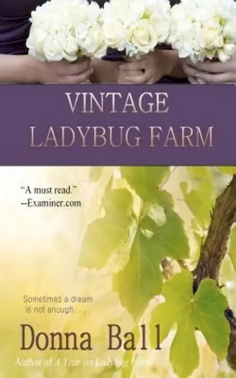 Cover of Vintage Ladybug Farm